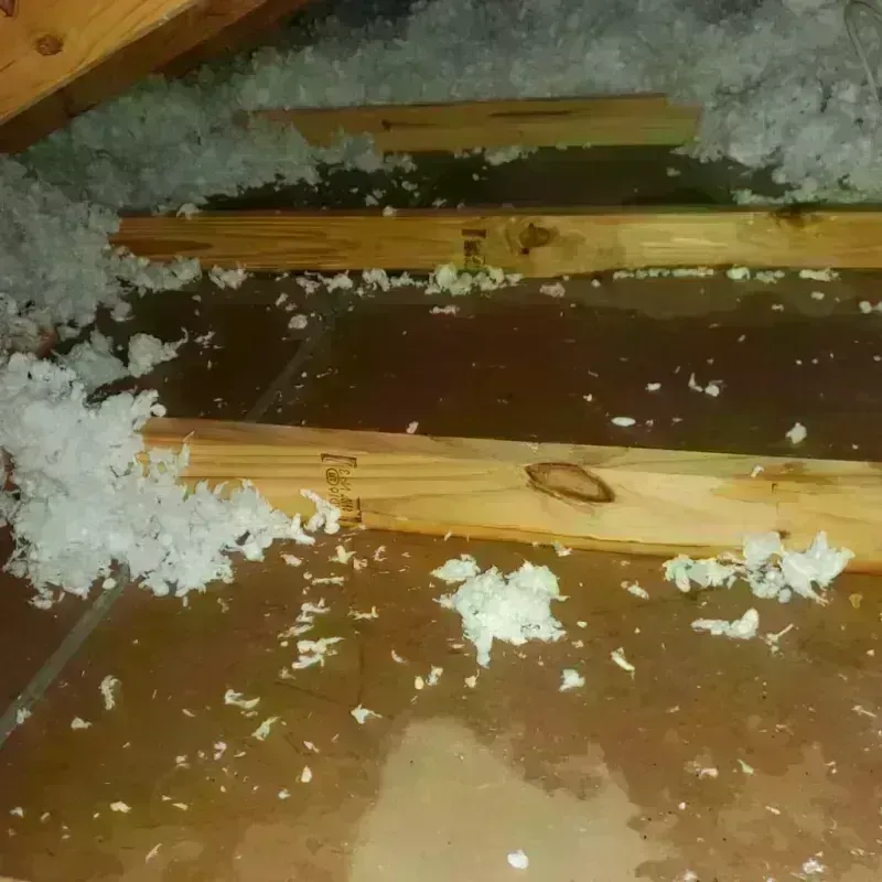 Attic Water Damage in Albany, MN