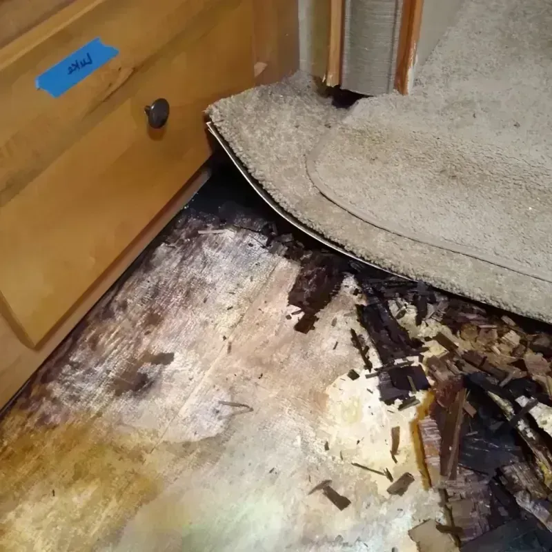 Wood Floor Water Damage in Albany, MN